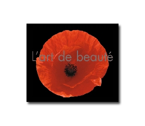 L'art de beauté